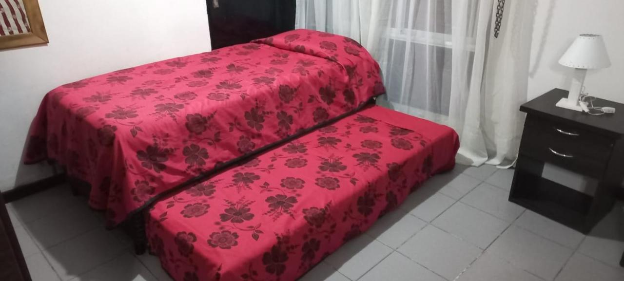 Apartamentos Willy - En Zona Residencial Con Estacionamiento Mendoza Buitenkant foto